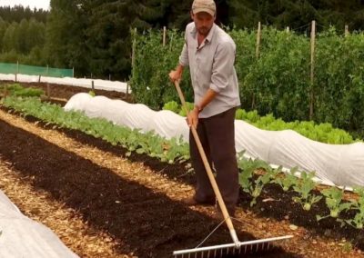 Richard Perkins No-Dig Market Gardening